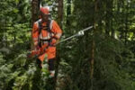 Husqvarna 530iPX Akku-Hochentaster 36V Leichte Professionelle Pflegesäge 180cm – Bild 2